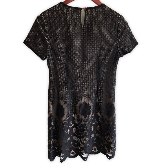 CeCe Black & Tan Lace Short Sleeve Scallop Dress - Picture 4 of 8